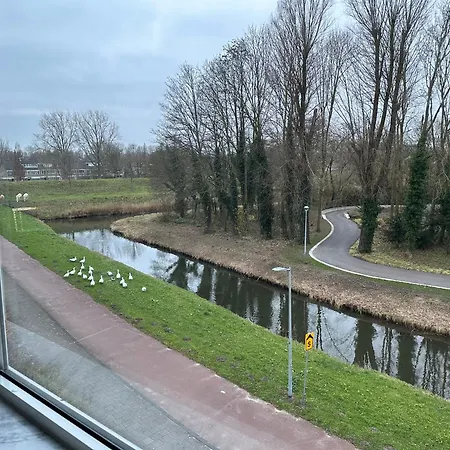 Entire Hoofddorp