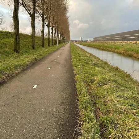 Entire * Hoofddorp